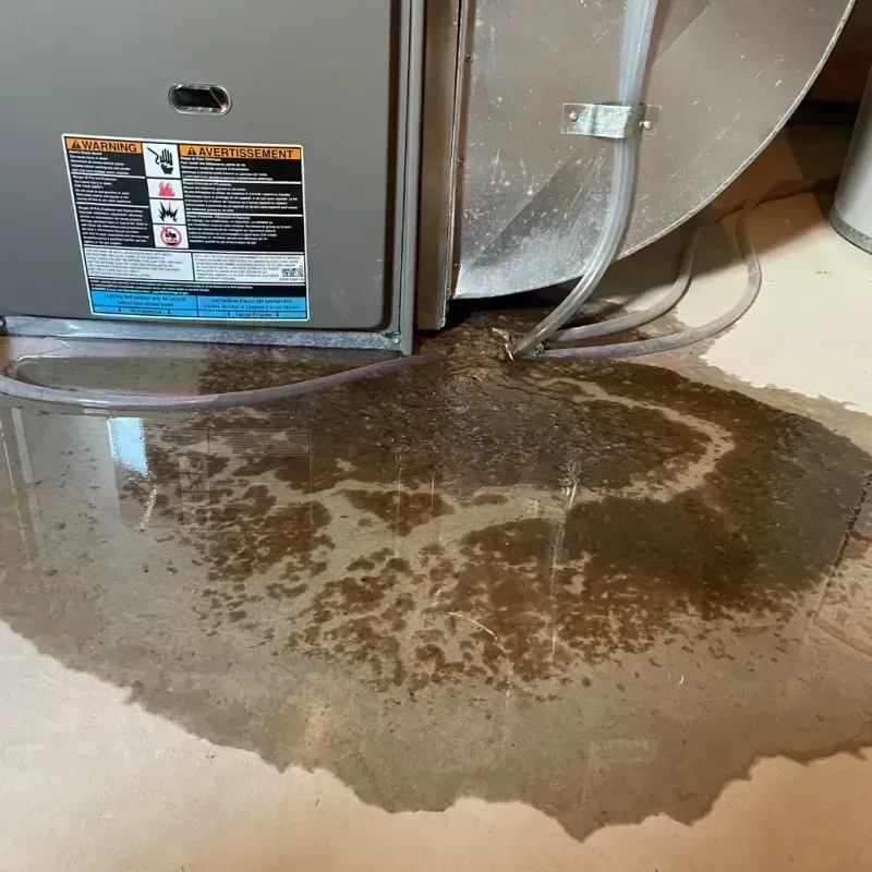 Appliance Leak Cleanup in Corbin, KY